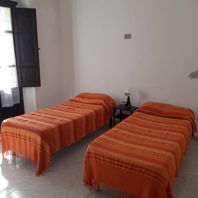 Casa Titti. Intero Appartamento - Fossacesia Extérieur photo